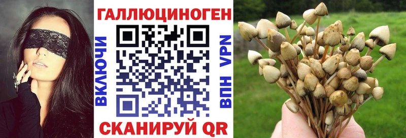 Псилоцибиновые грибы Psilocybine cubensis  магазин продажи   гидра ссылки  Тбилисская 